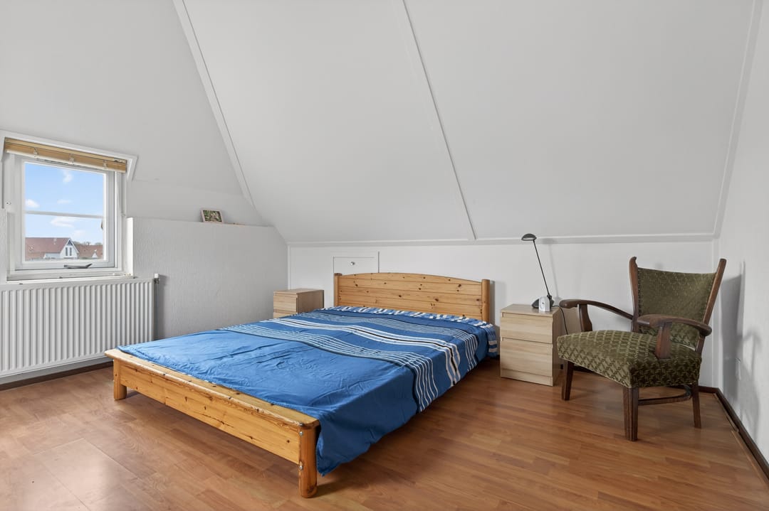 Photo 16 of Meerkoet 28