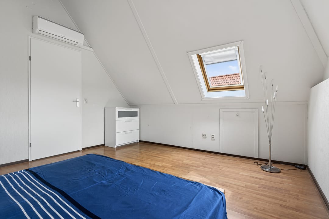 Photo 17 of Meerkoet 28