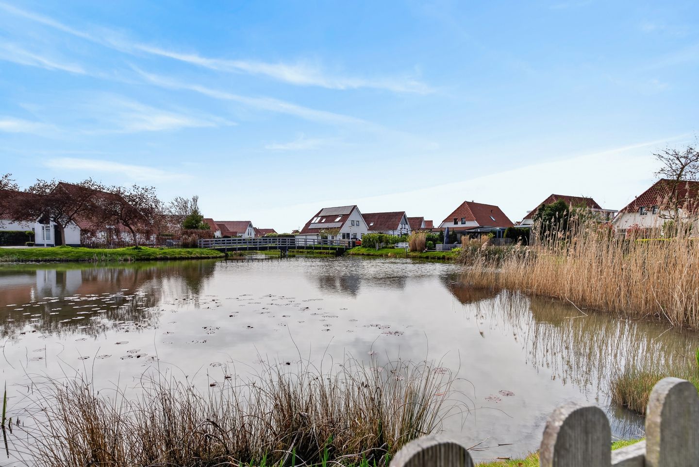 Photo 25 of Meerkoet 28