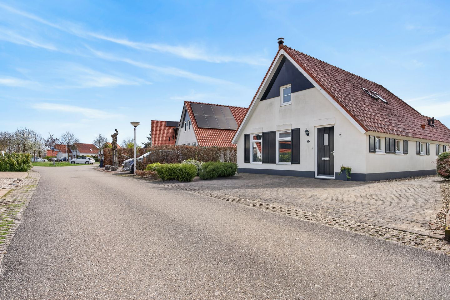 Photo 29 of Meerkoet 28