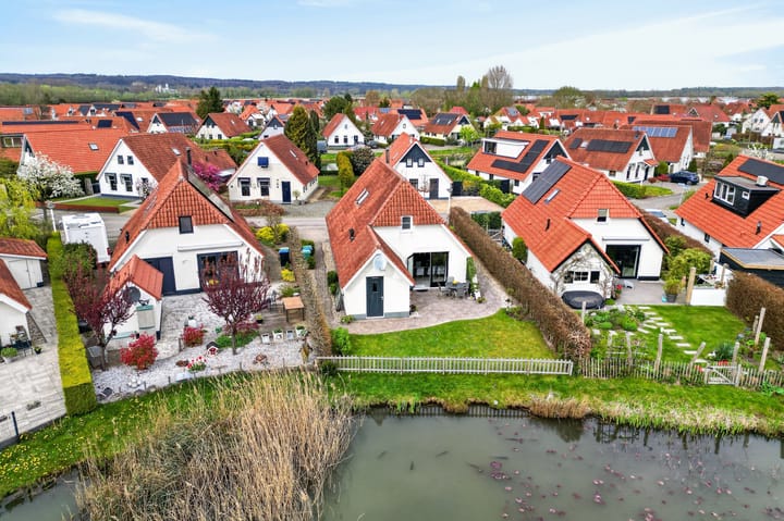 Photo 2 of Meerkoet 28