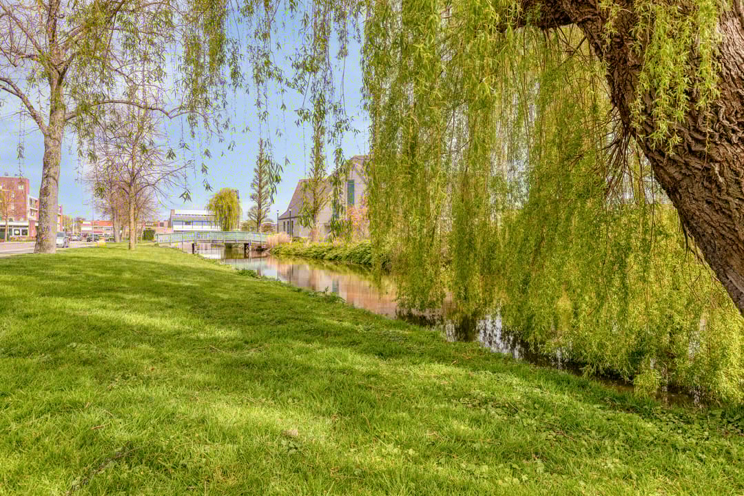 Photo 43 of Wilgenoord 4