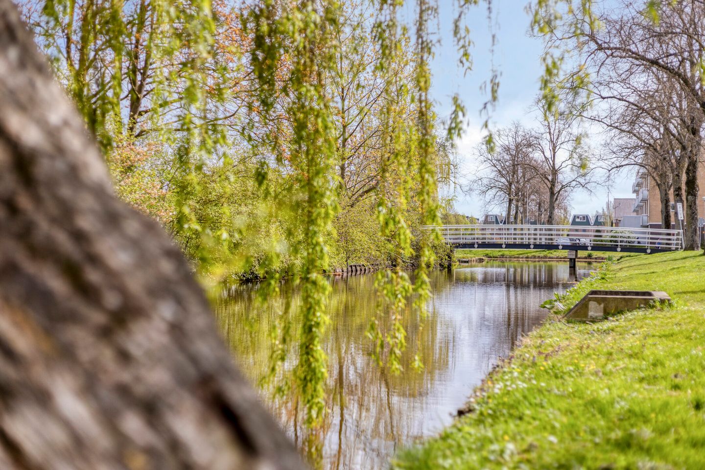 Photo 44 of Wilgenoord 4