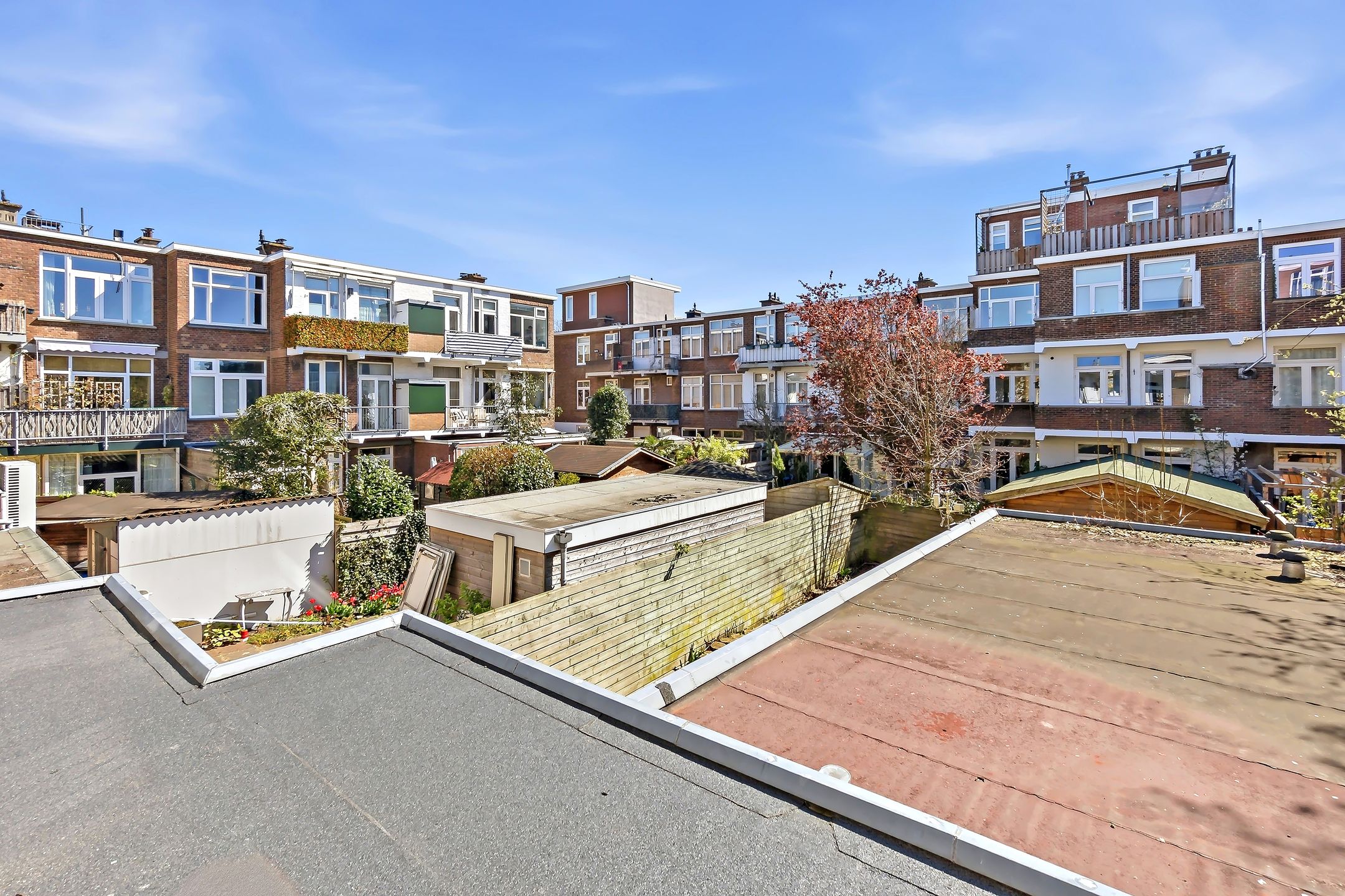 Photo 15 of Vlierboomstraat 602