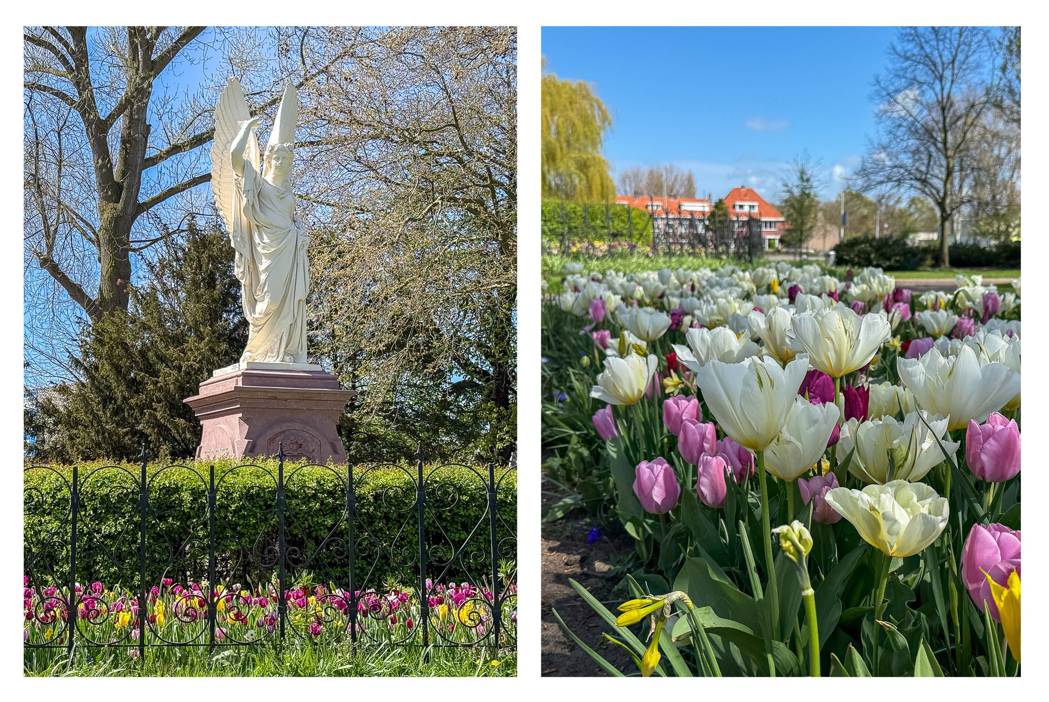 Foto 66 van Heemraadstraat 7