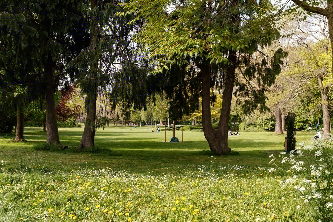 Foto 68 van Dantelaan 74