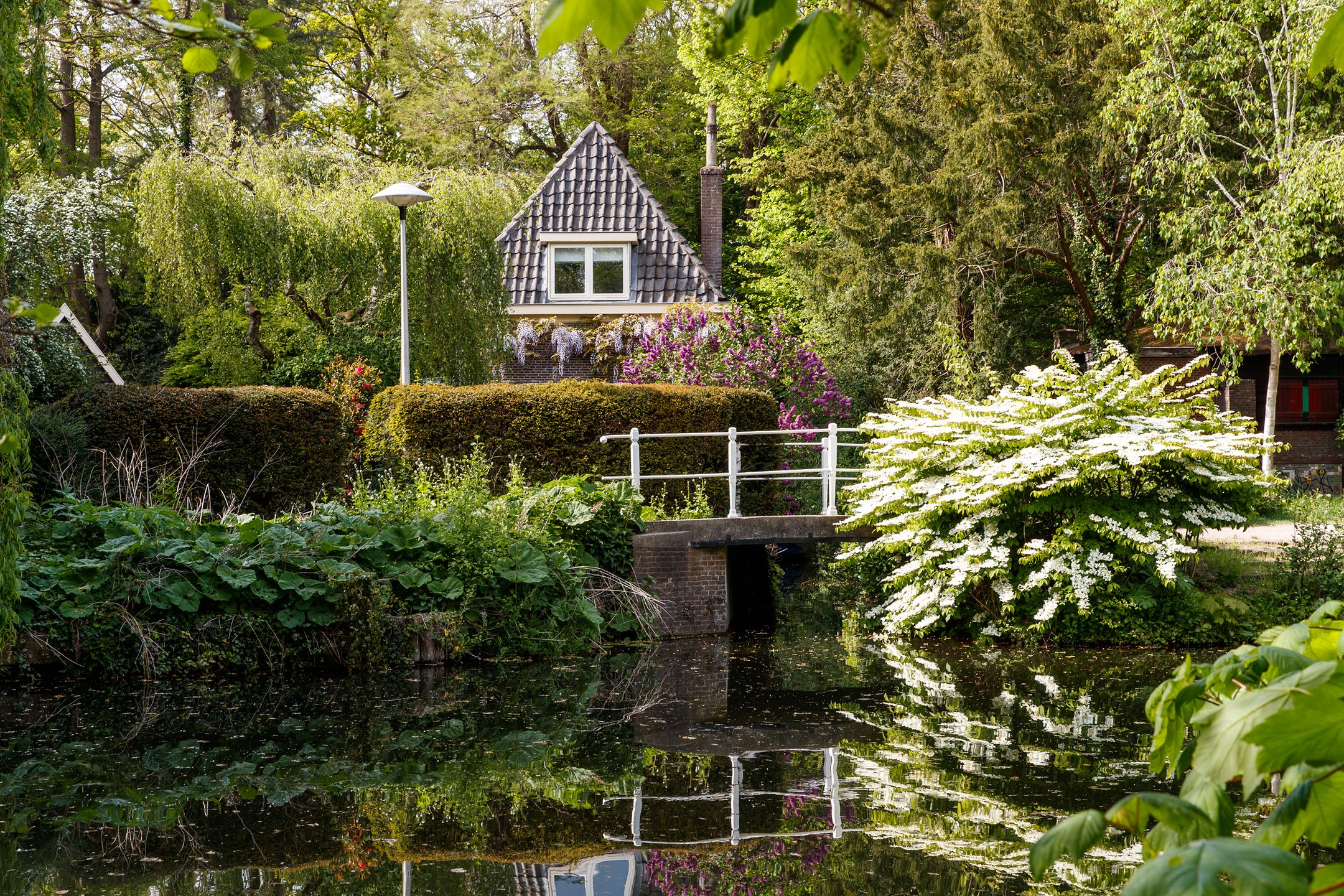 Foto 69 van Dantelaan 74