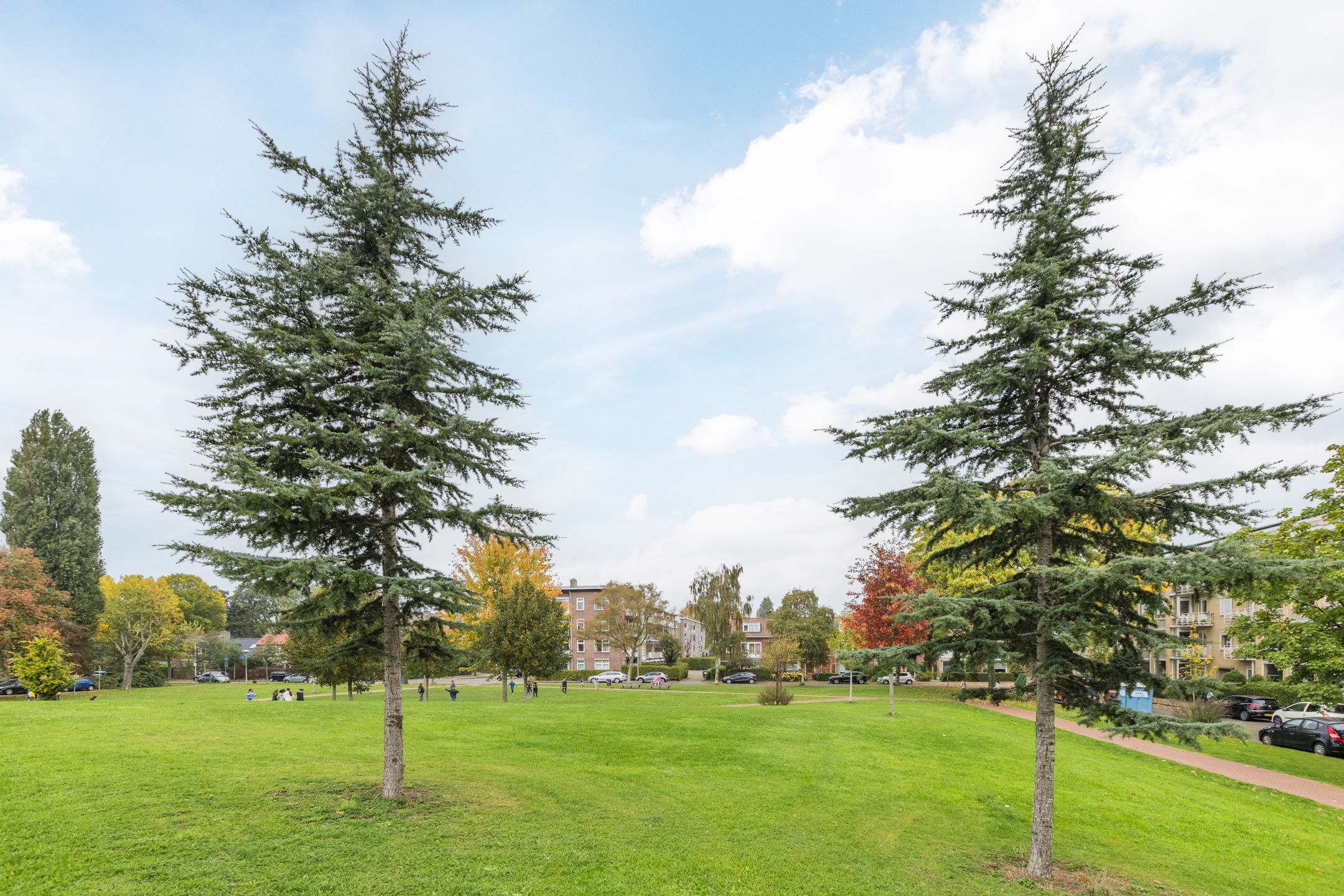 Foto 78 van Dantelaan 74