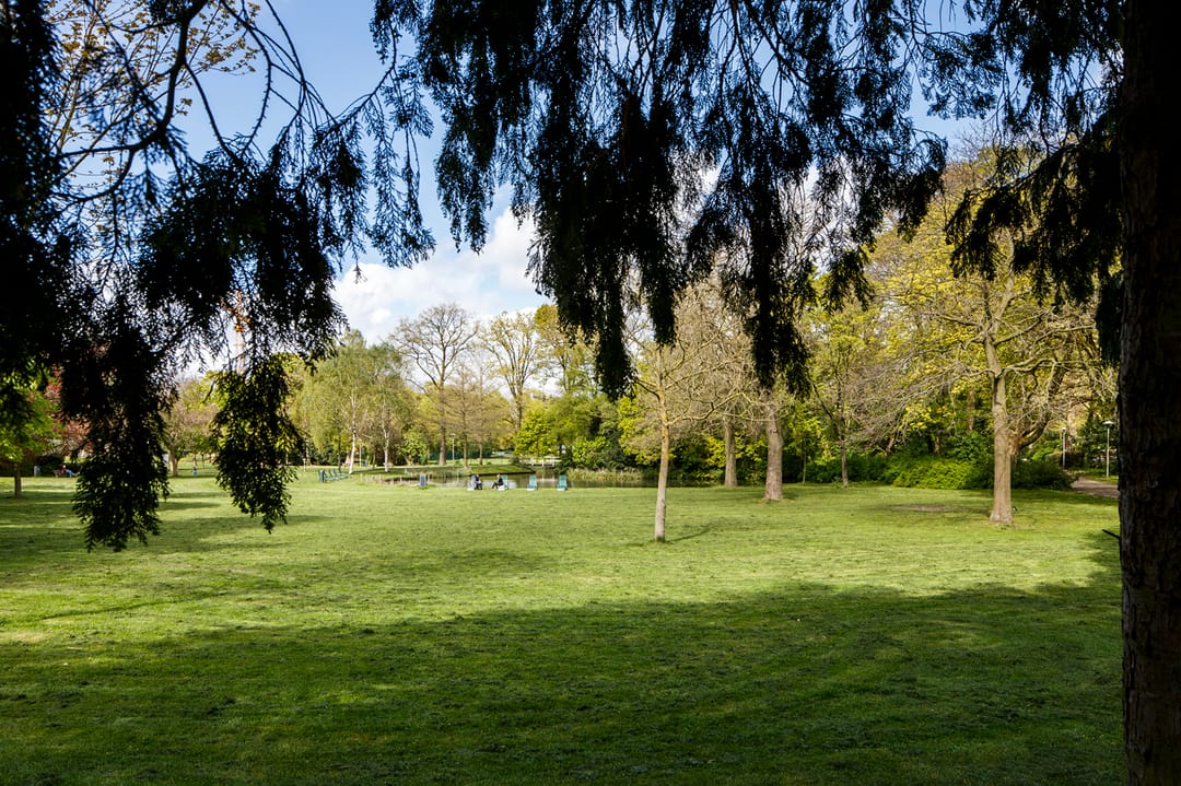 Foto 73 van Dantelaan 74