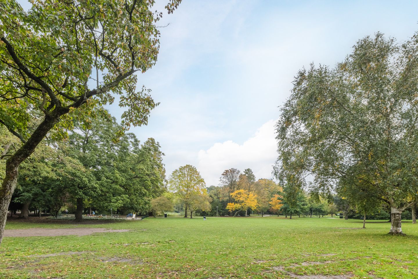 Foto 79 van Dantelaan 74