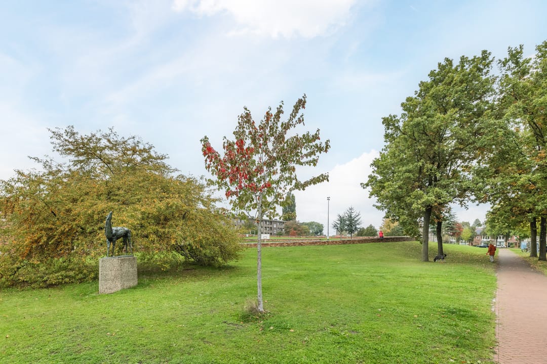 Foto 77 van Dantelaan 74