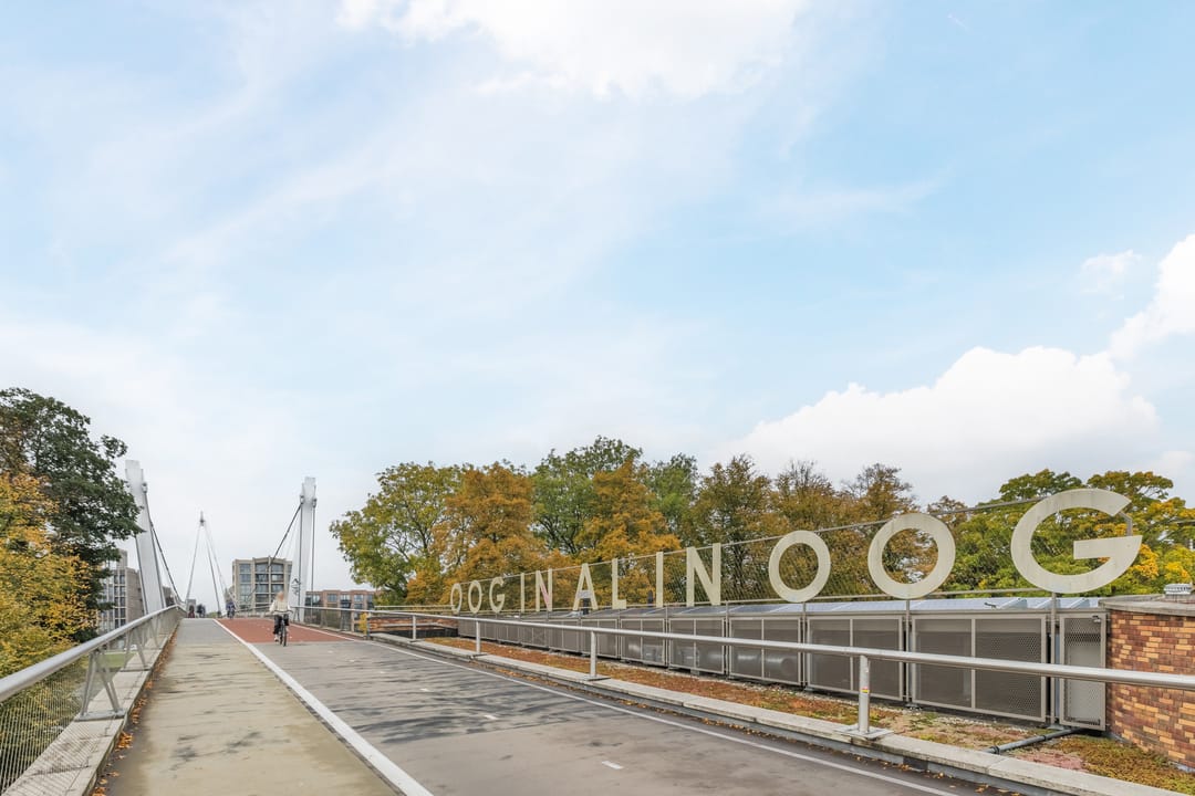 Foto 82 van Dantelaan 74