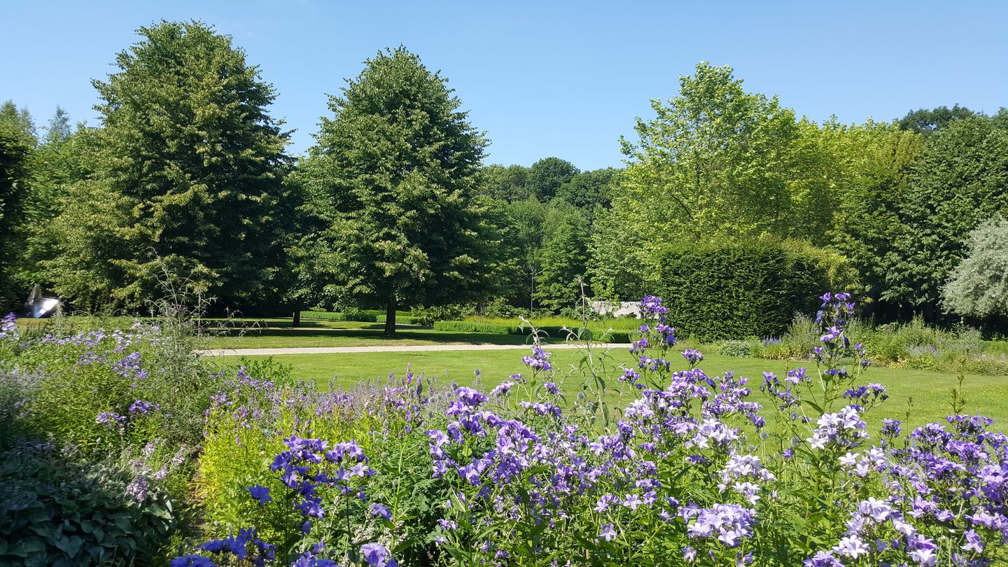 View photo 5 of Zwarte Wegje 1