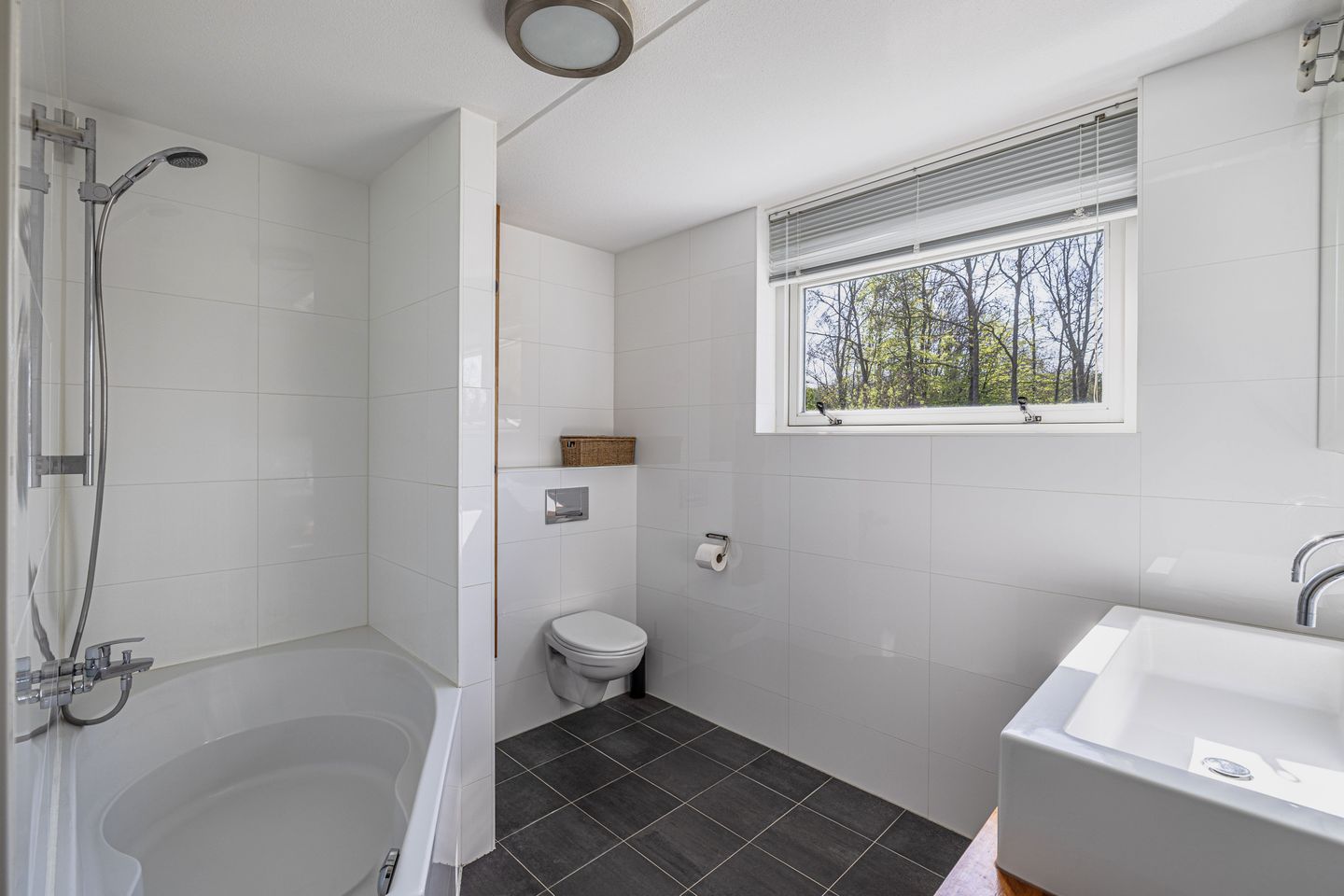 Photo 29 of het Waterland 54