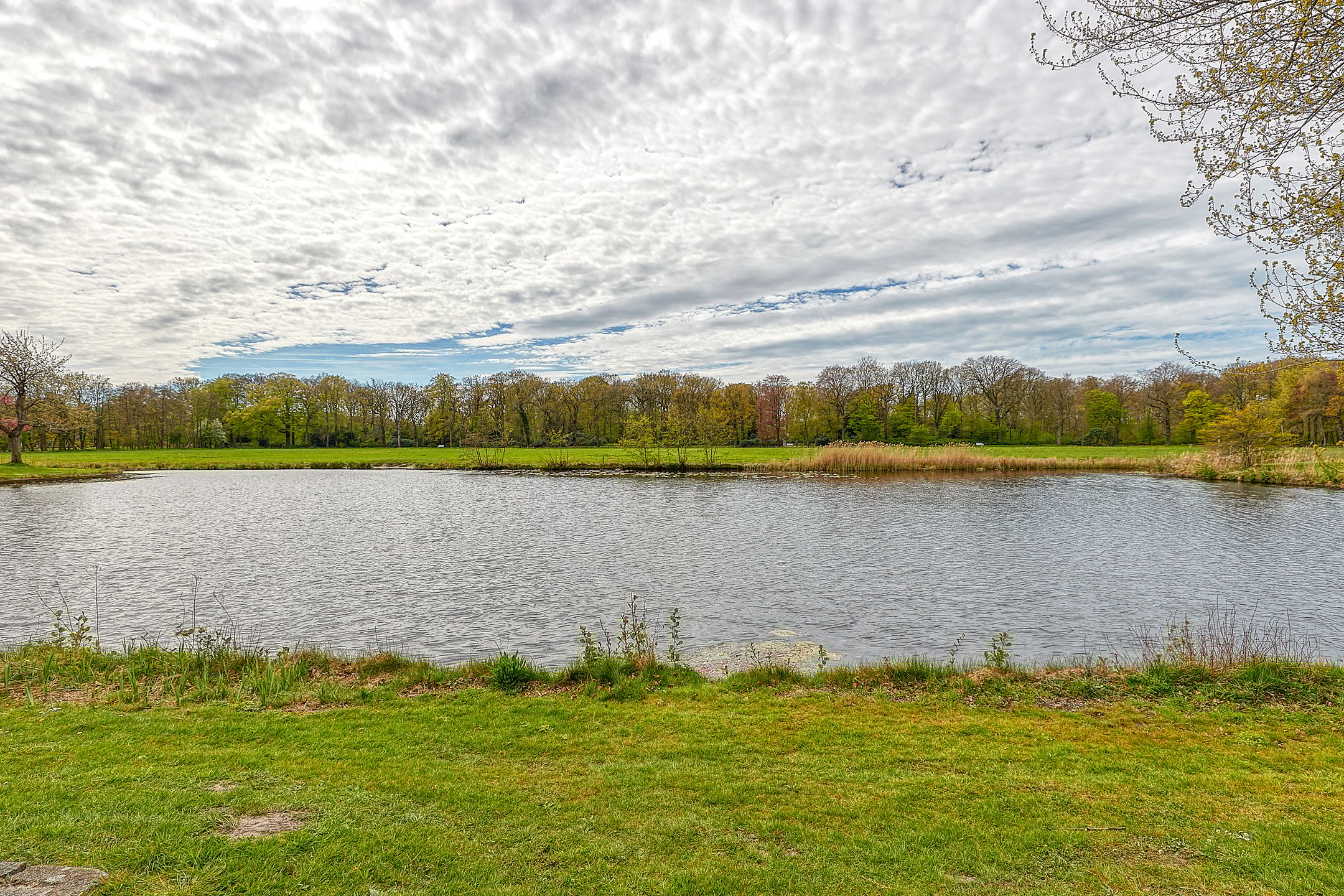 Foto 45 van Bloklandenplein 11