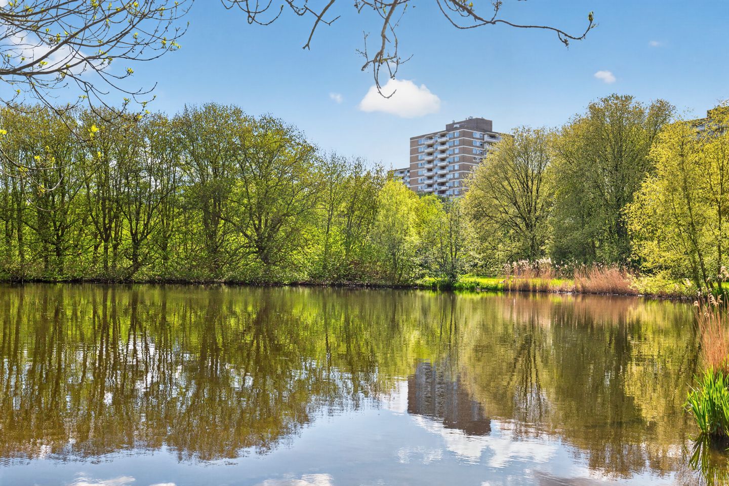 Photo 25 of Nachtwachtlaan 55