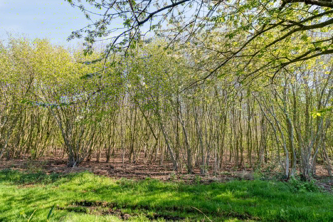 Foto 58 van Doorsneeweg 34