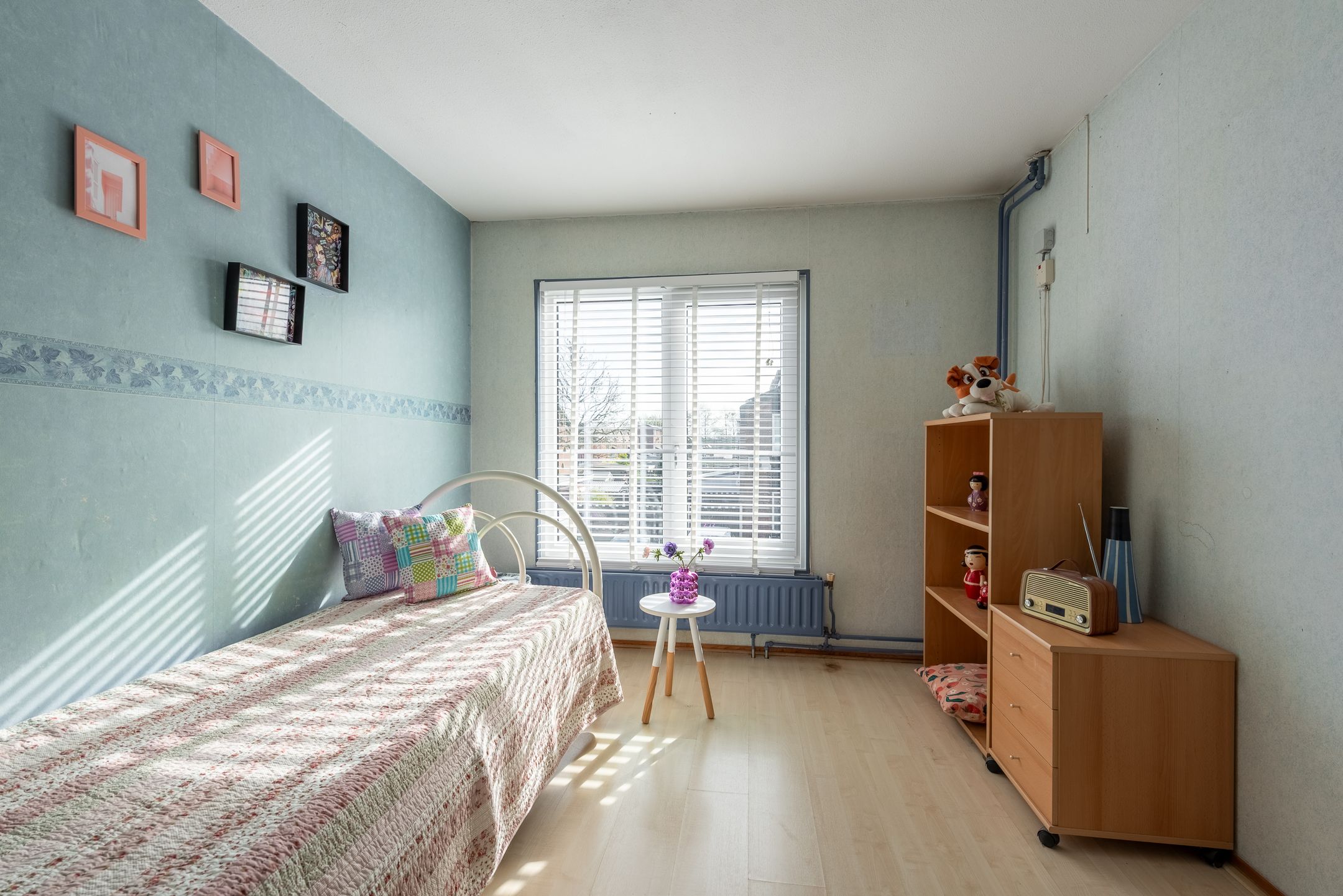 Foto 27 van Zebraspoor 62