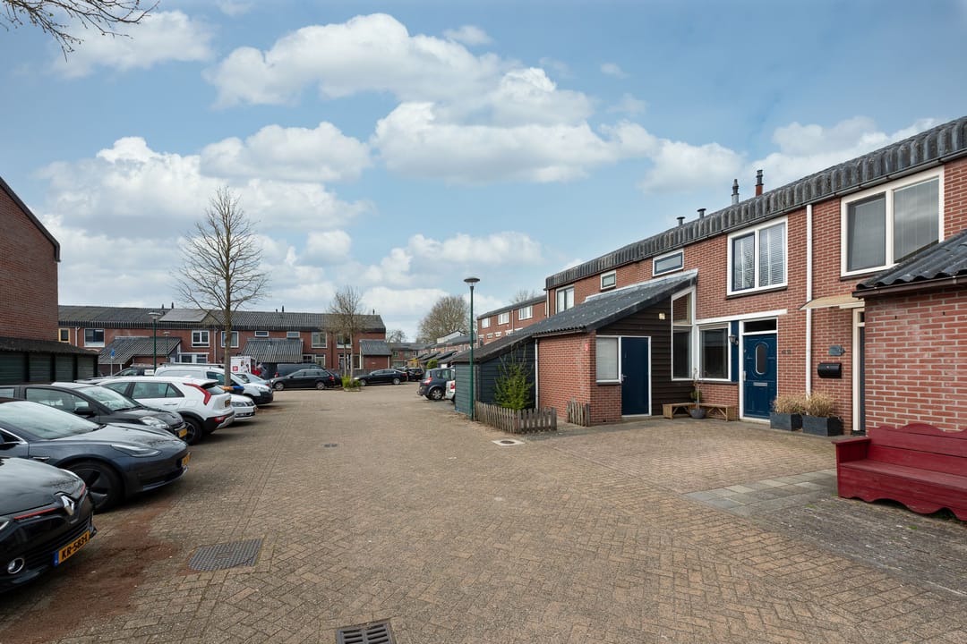 Foto 32 van Zebraspoor 62