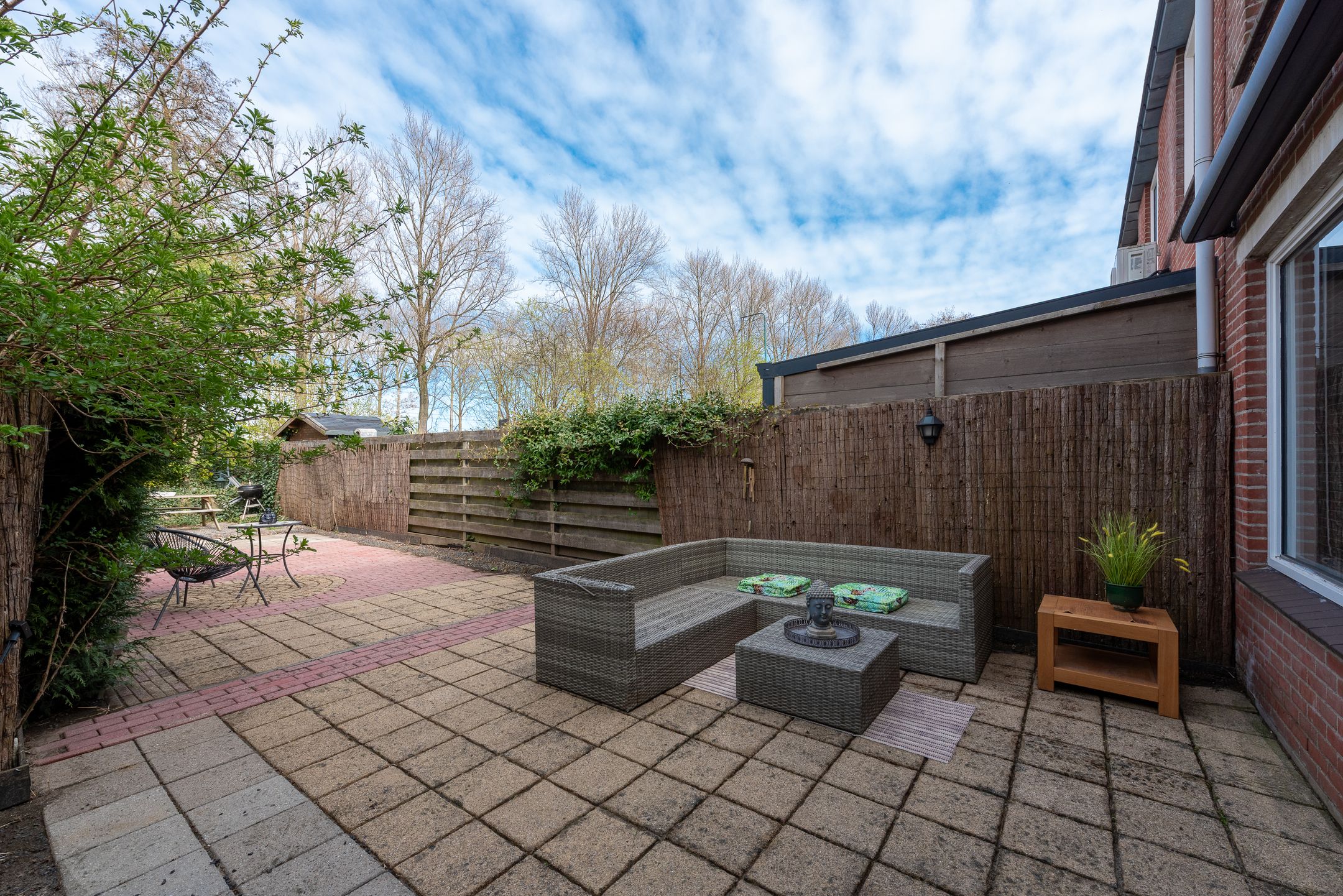 Foto 15 van Zebraspoor 62