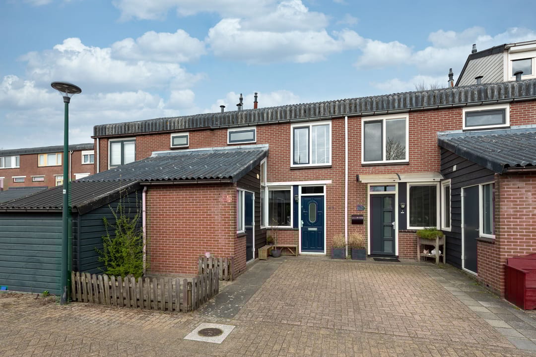 Foto 31 van Zebraspoor 62