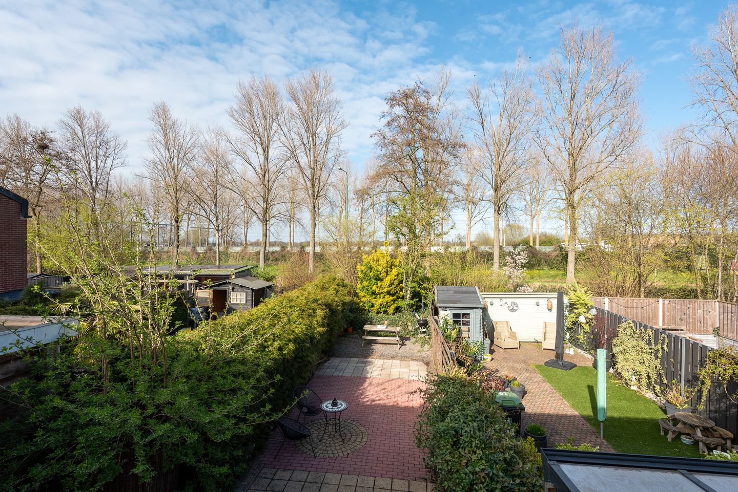 Foto 25 van Zebraspoor 62