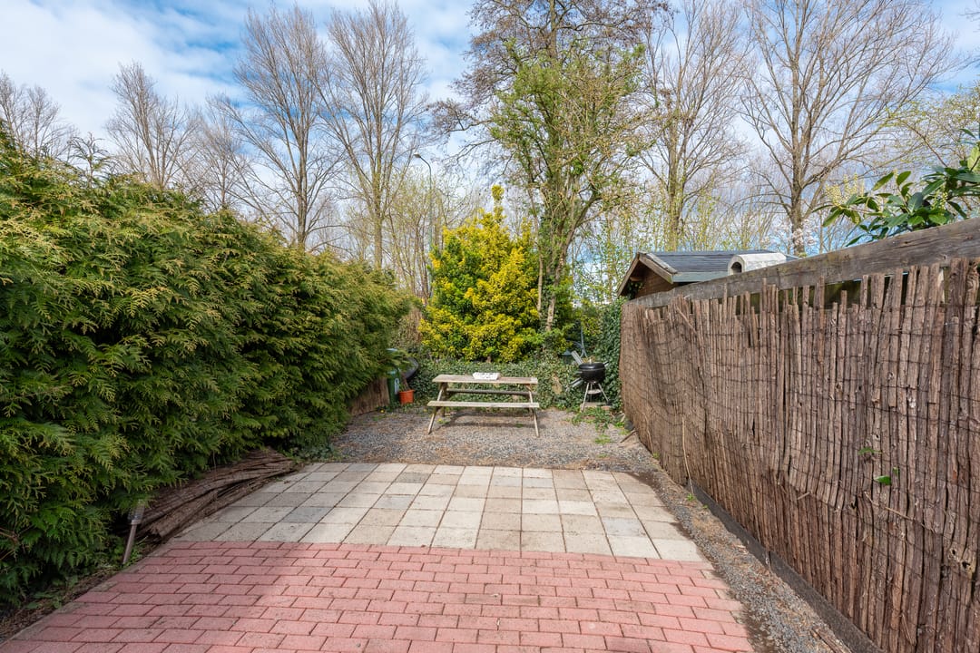 Foto 17 van Zebraspoor 62