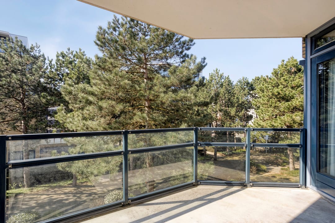 Foto 13 van Jan Willem Frisohof 37