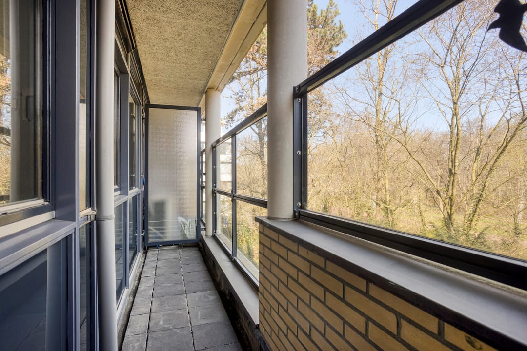 Foto 31 van Jan Willem Frisohof 37