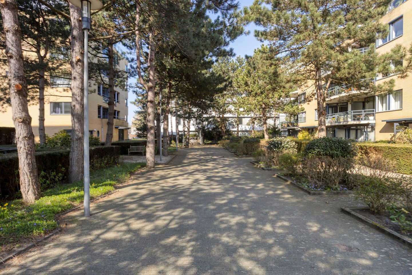 Foto 34 van Jan Willem Frisohof 37