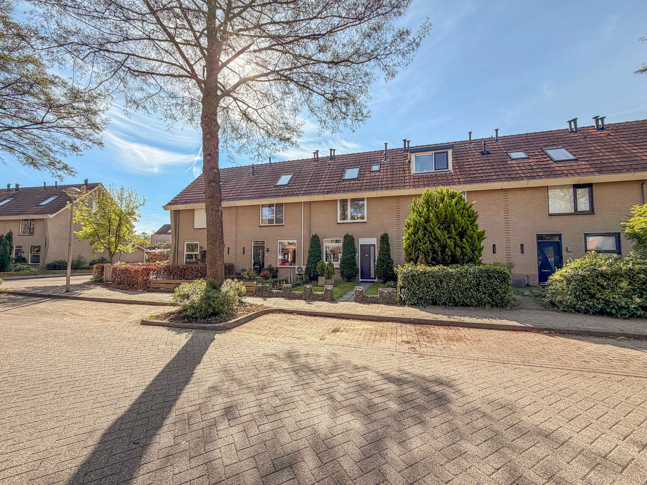 Foto 24 van Corridor 39