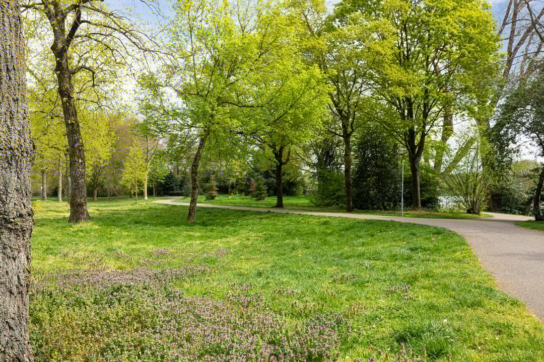 Foto 43 van Aartshertogenlaan 253