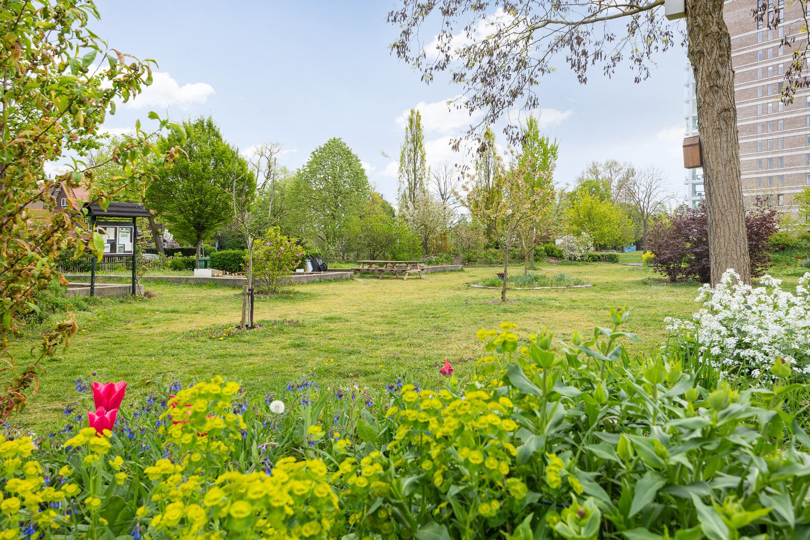 Foto 42 van Aartshertogenlaan 253