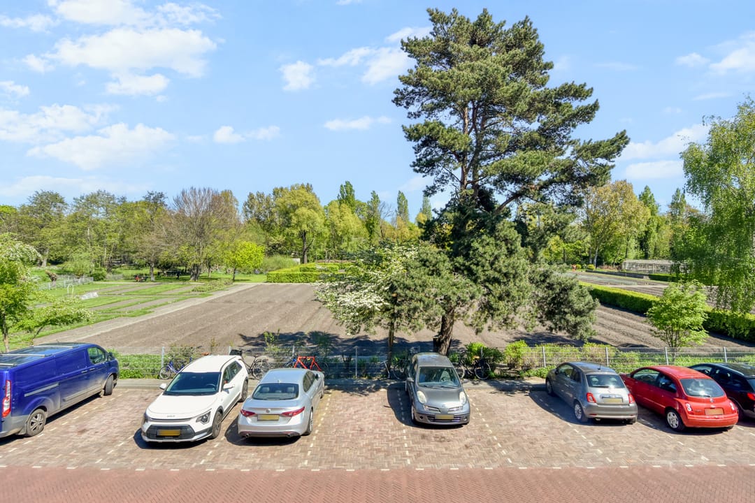 Foto 13 van Kornoeljestraat 60