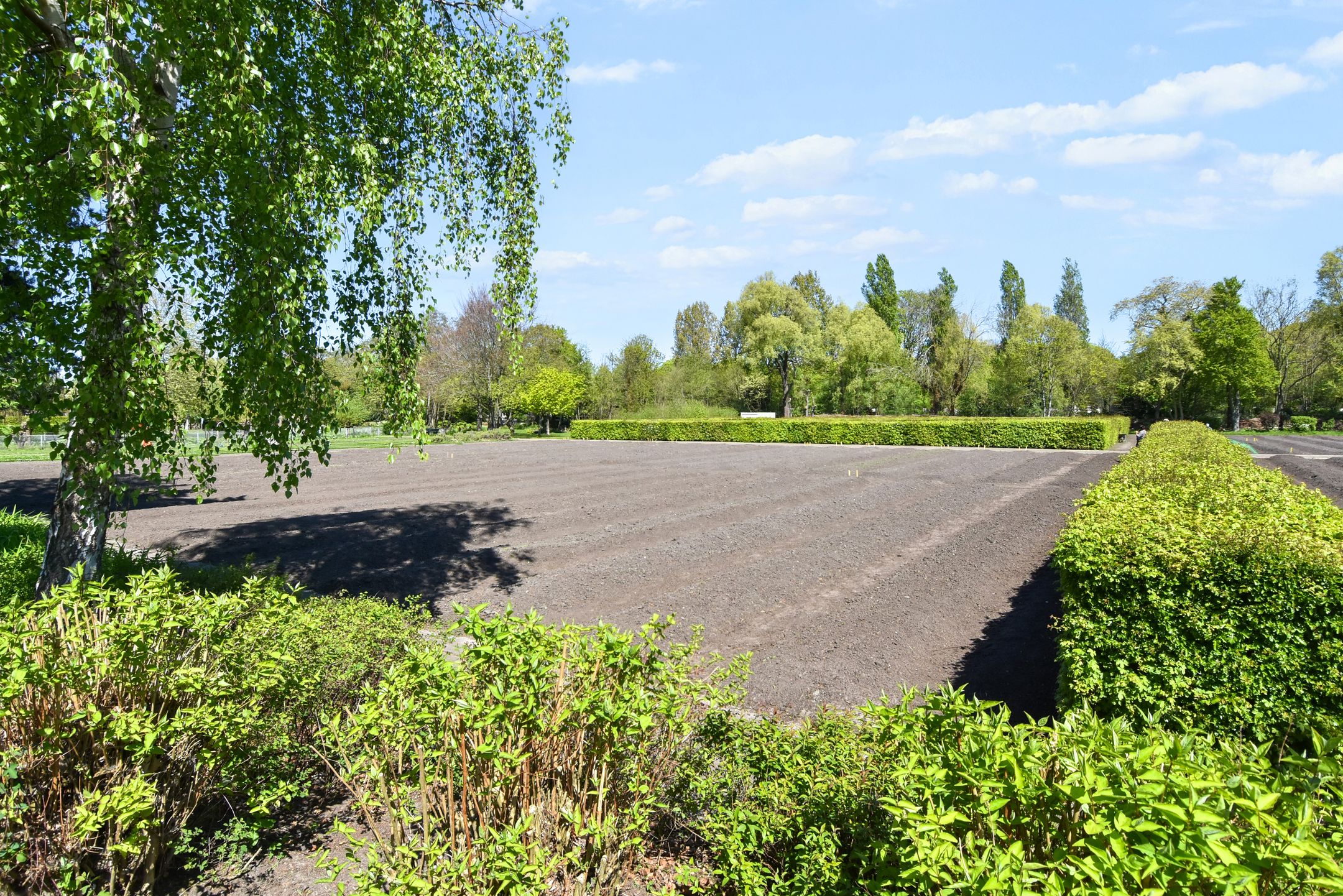 Foto 36 van Kornoeljestraat 60