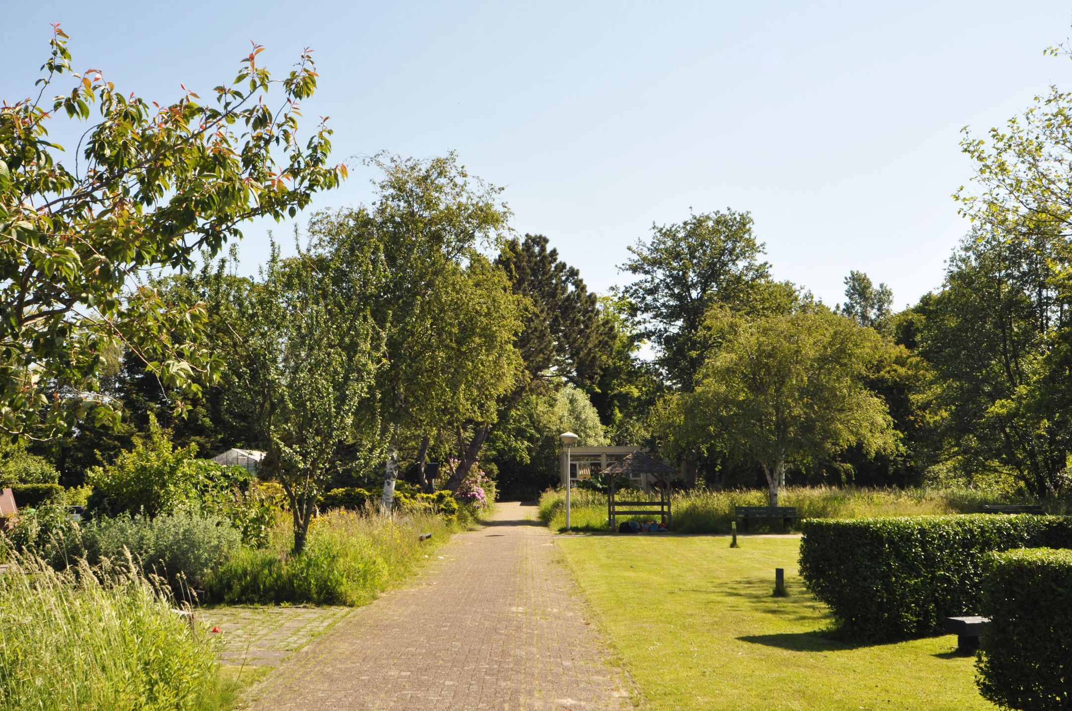 Foto 39 van Kornoeljestraat 60