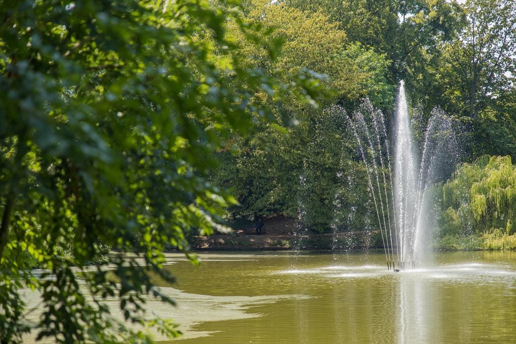 Foto 42 van Acaciastraat 3