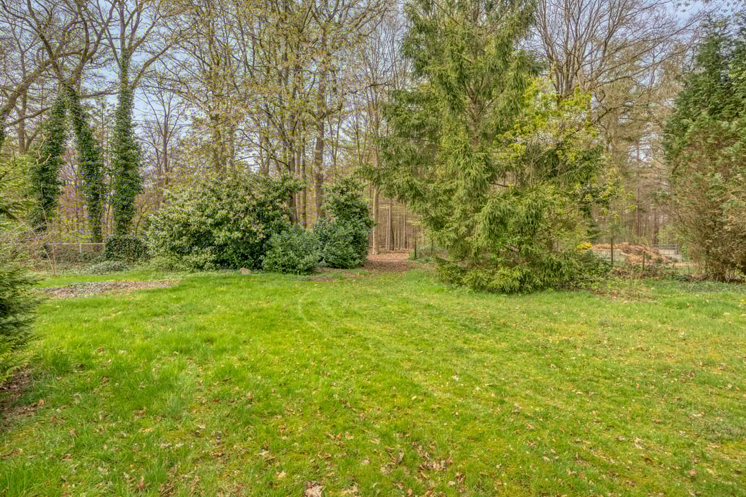 Photo 52 of Rolderstraat 33