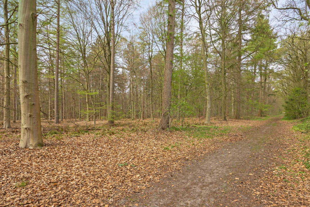 Photo 53 of Rolderstraat 33