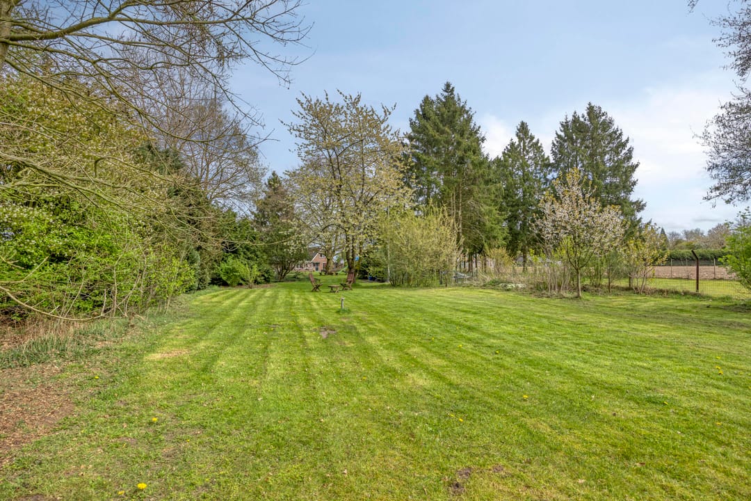 Photo 56 of Rolderstraat 33