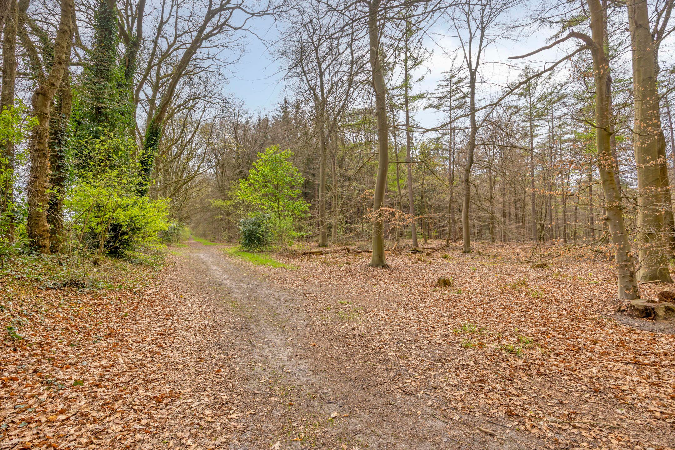 Photo 54 of Rolderstraat 33