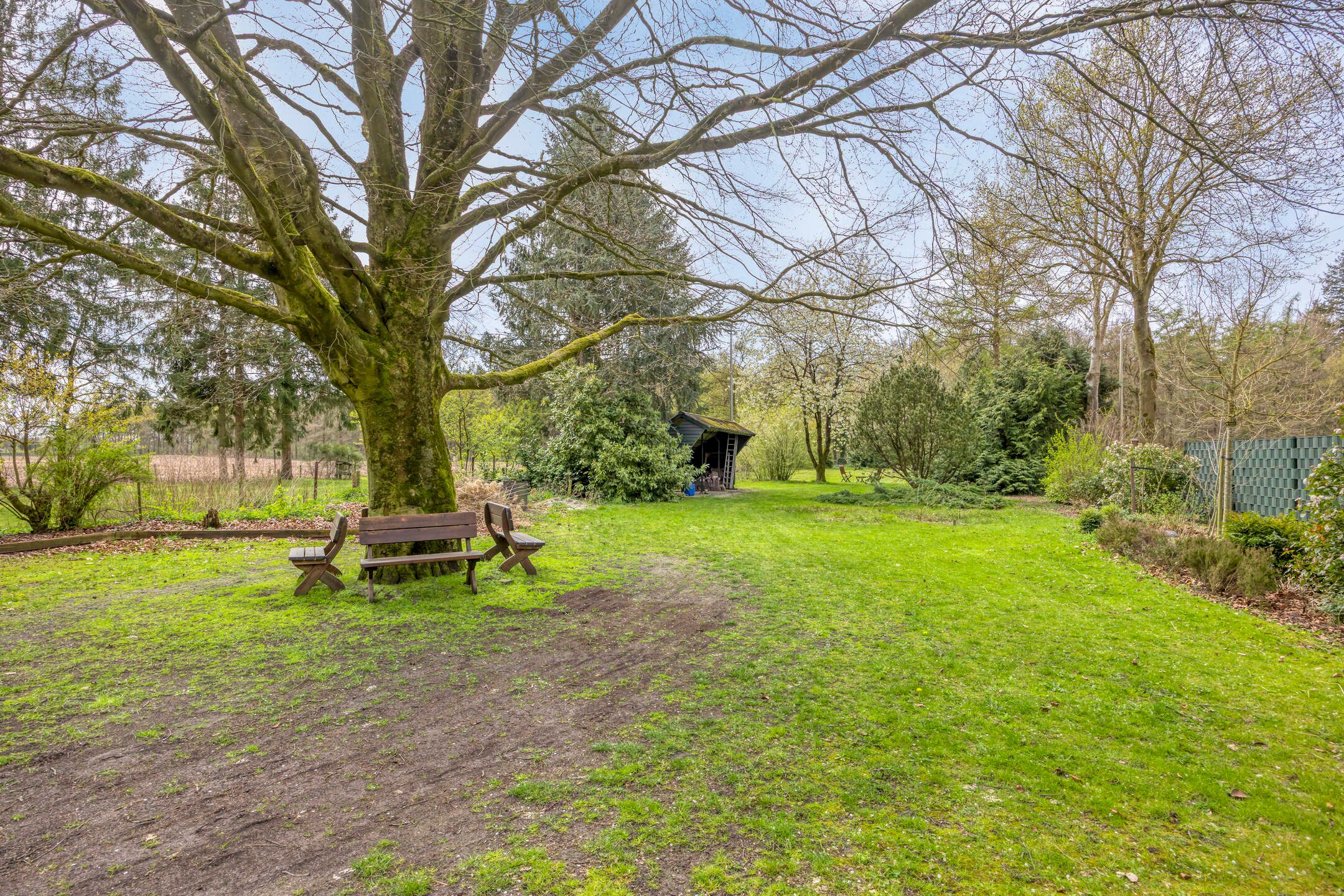 Photo 48 of Rolderstraat 33