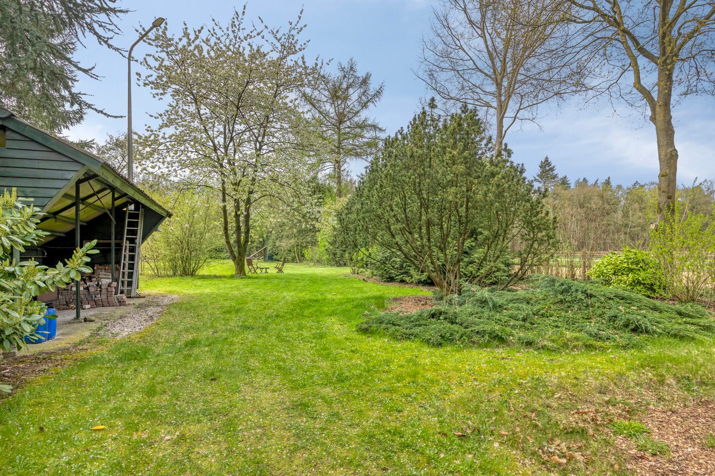 Photo 49 of Rolderstraat 33