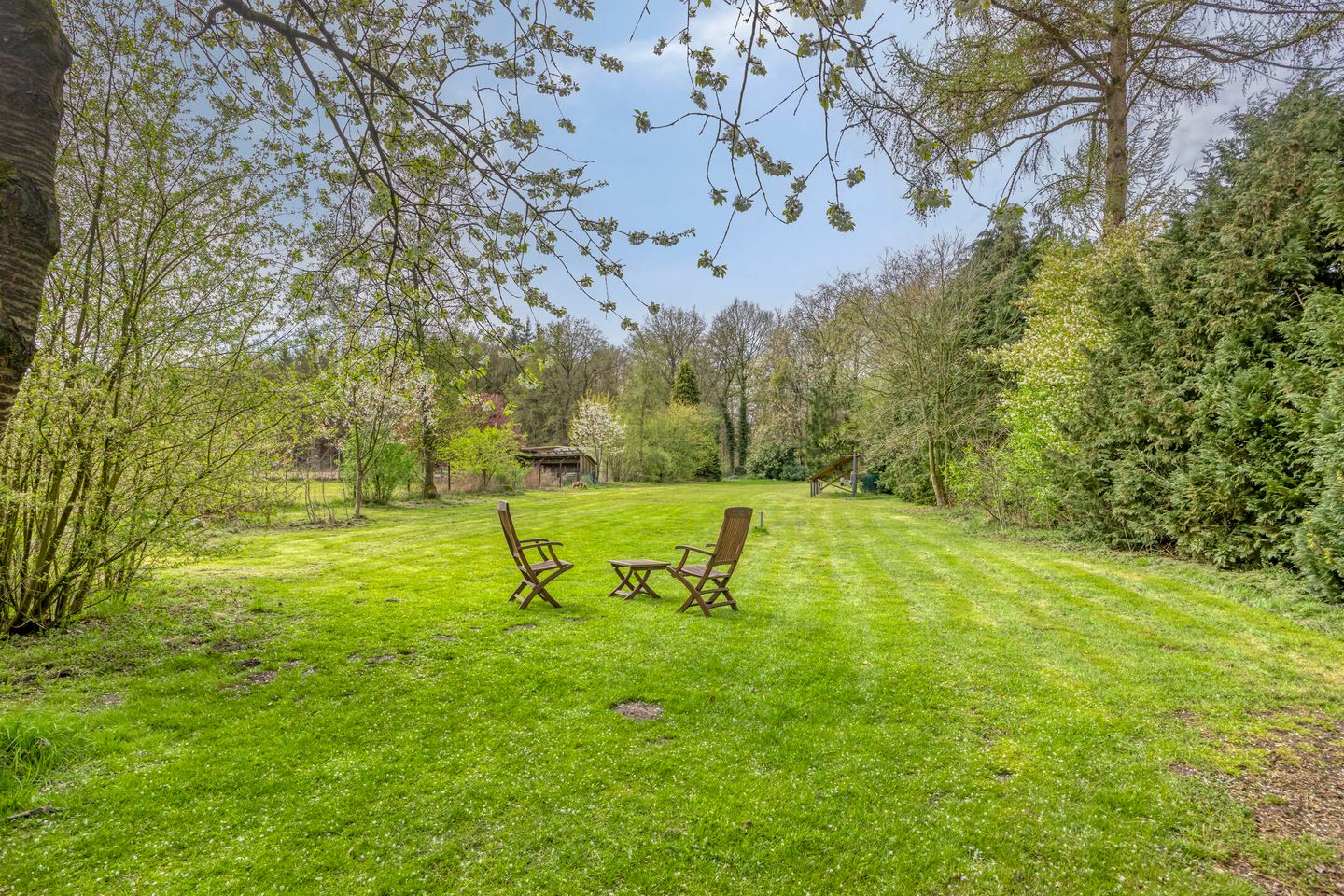 Photo 50 of Rolderstraat 33