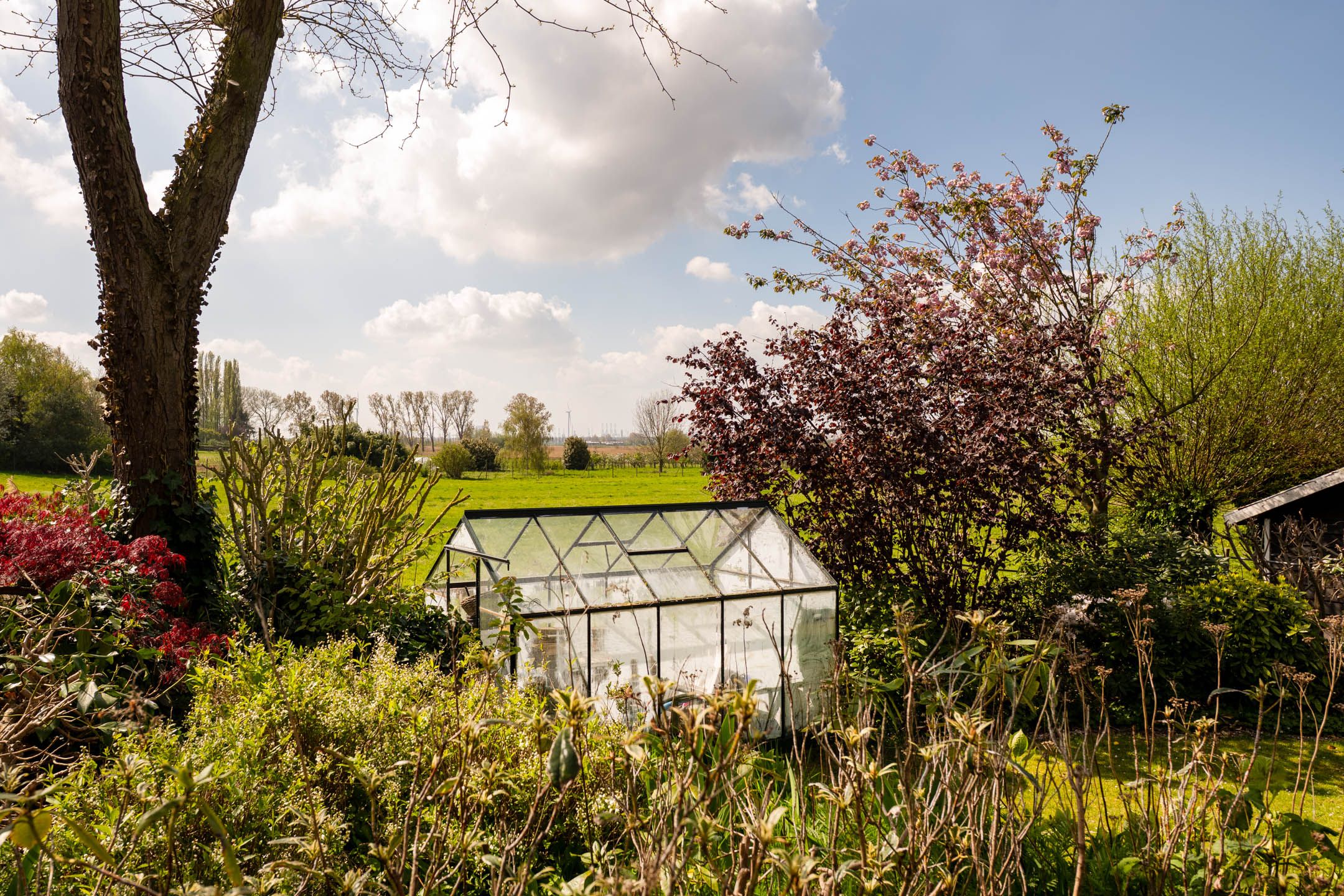 Foto 42 van Calfven 91