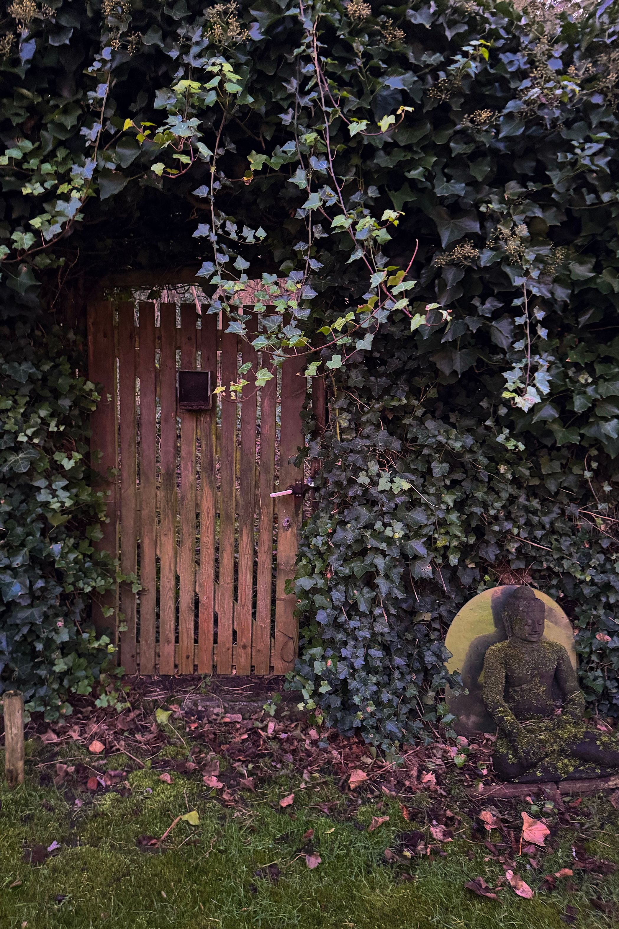 Foto 27 van Julianaweg 59