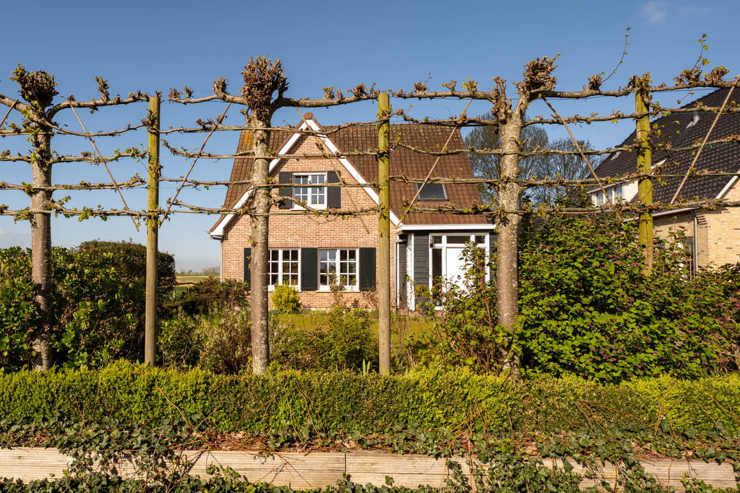 Foto 56 van Calfven 91