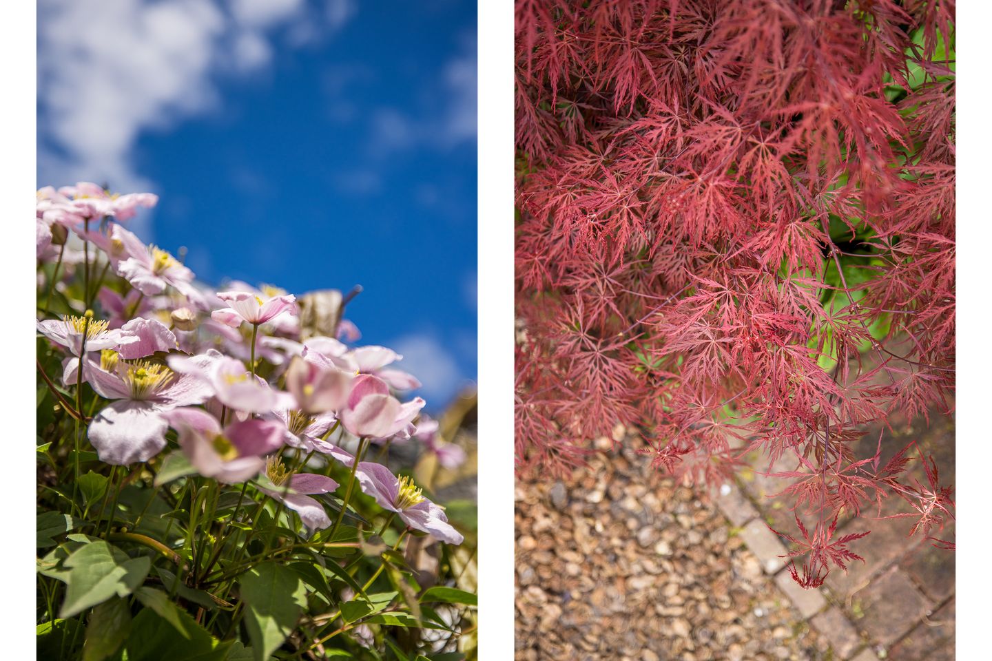 Foto 40 van Bolksbeekstraat 22-A