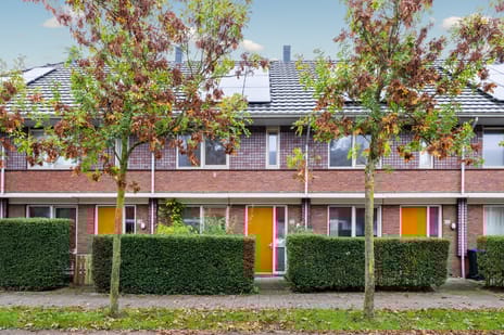 Trompetbloemlaan thumbnail