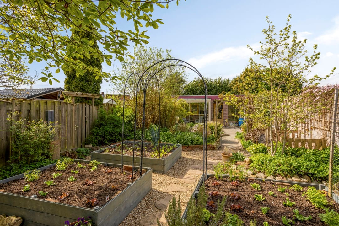 Foto 46 van Luipertstraat 12